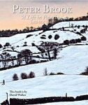 Peter Brook - Peter Brook - A Life in Painting 2nd Volume