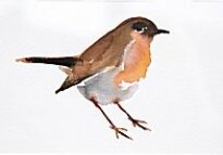 Liam Spencer - Robin