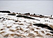 Peter Brook - Leaving Abandoned Land