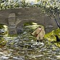 Gary Bunt - Sparkle Dun